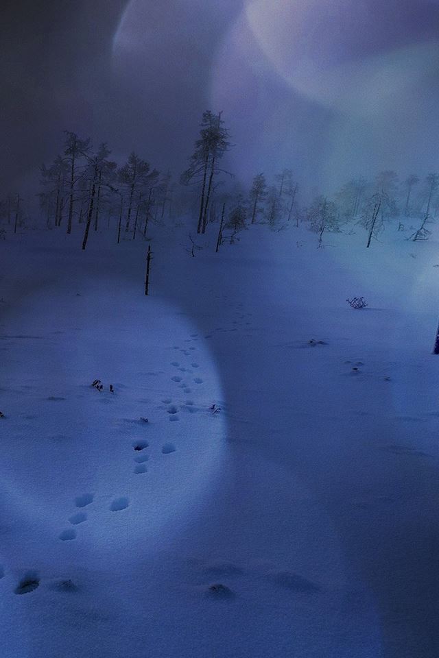 640x960 Snow Walk Winter Blue Bokeh Footprint Nature - footprint iPhone 4s Wallpaper