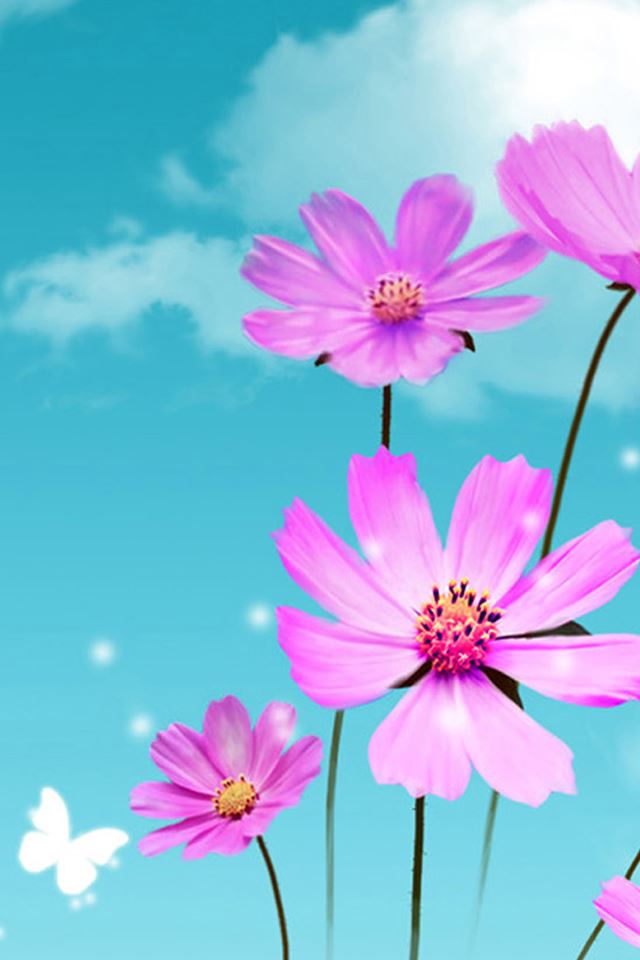 Pure Dreamy Nature Beautiful Galsang Flower Cloudy Sunny Sky iPhone 4s wallpaper 