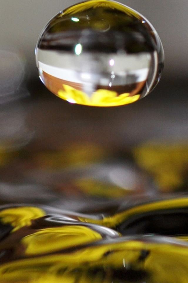 640x960 Transparent Droplet Macro Over Water - droplet iPhone 4s Wallpaper