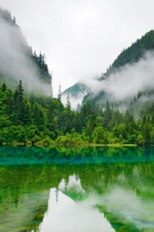 640x960 Nature Foggy Mountains Calm Lake Forest - mist iPhone 4s Wallpaper