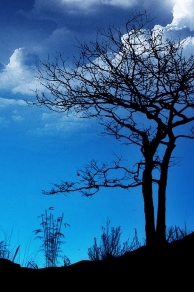 640x960 Blue Bright Night Hill Tree Cloudy Skyscape - bright iPhone 4s Wallpaper