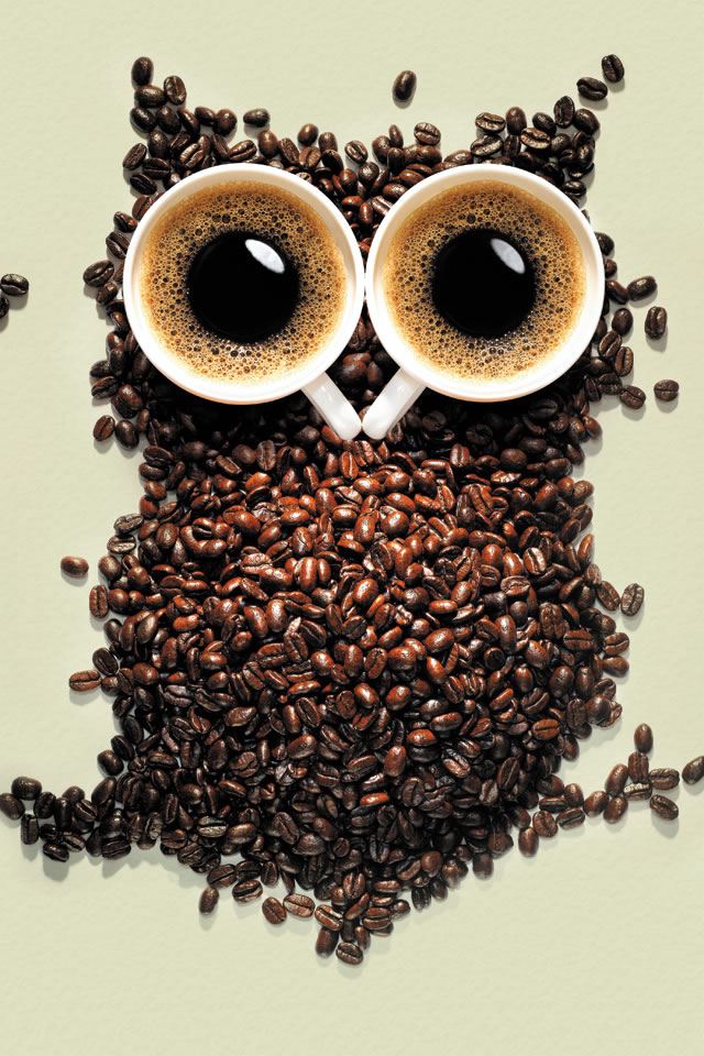 640x960 Coffee Owl - owl iPhone 4s Wallpaper