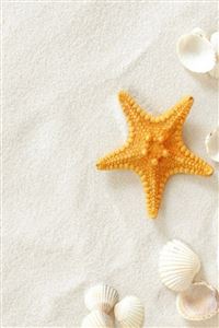 Pure Seaside Beach Starfish  Seashell wallpaper