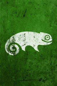 Green Chameleon wallpaper