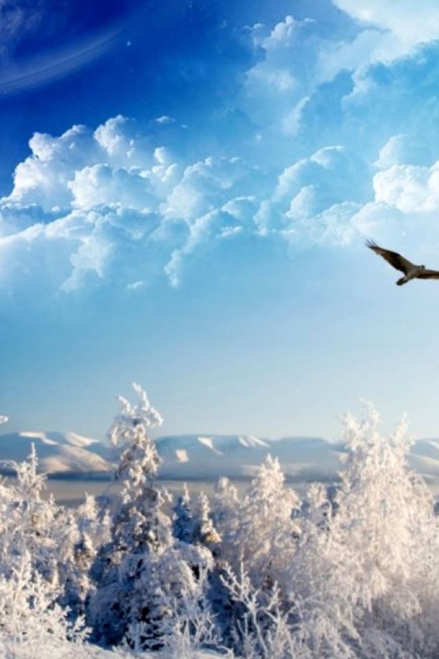 Nature Wonderful Winter Snow Land Shiny Cloudy Space iPhone 4s wallpaper 