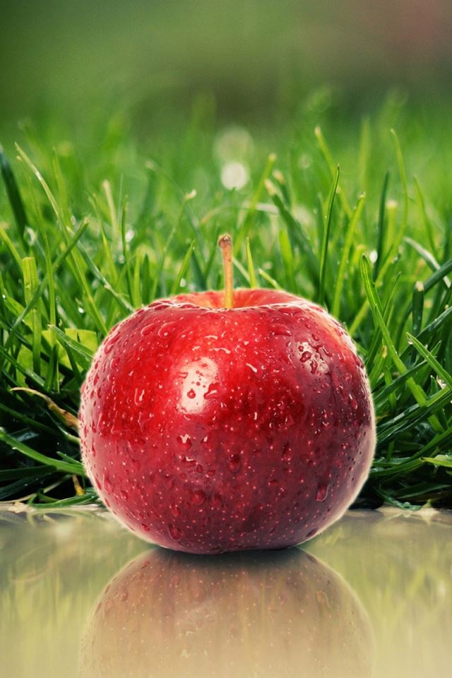 640x960 Crisp Apple -  iPhone 4s Wallpaper