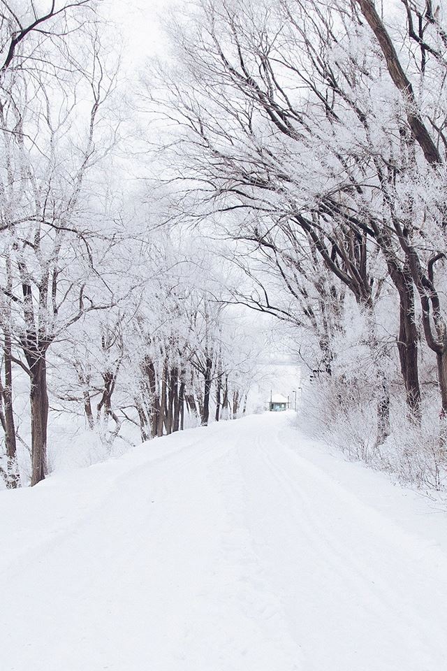 640x960 Winter Road Romantic Nature Snow White - nature iPhone 4s Wallpaper