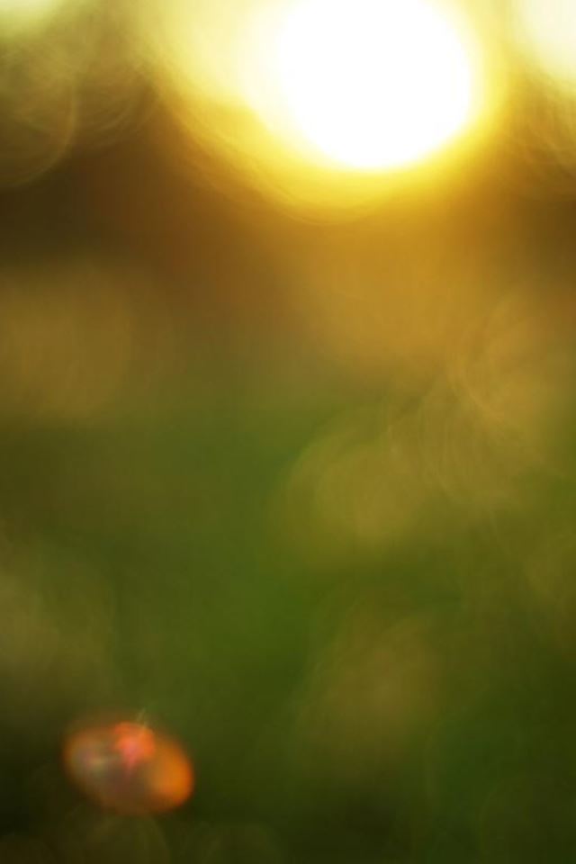 640x960 Abstract Wild Sunset Bokeh Blur - bokeh iPhone 4s Wallpaper