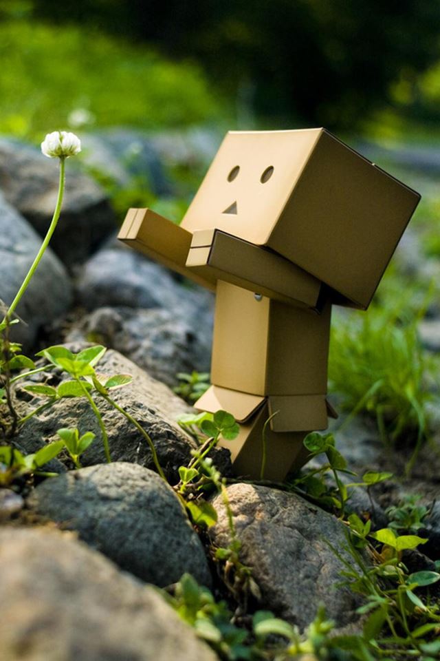 640x960 Danbo Reaching -  iPhone 4s Wallpaper