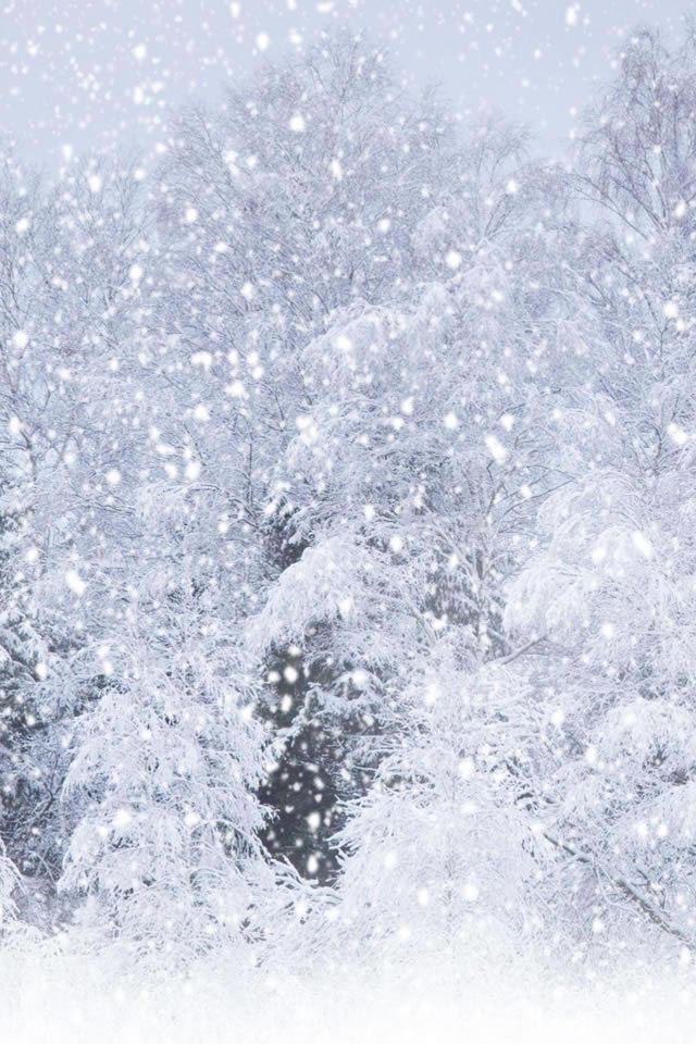 640x960 Heavy Snow Forest Landscape - snowflake iPhone 4s Wallpaper