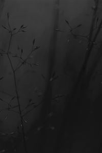 Abstract Weed Plant Dark Flower Nature wallpaper