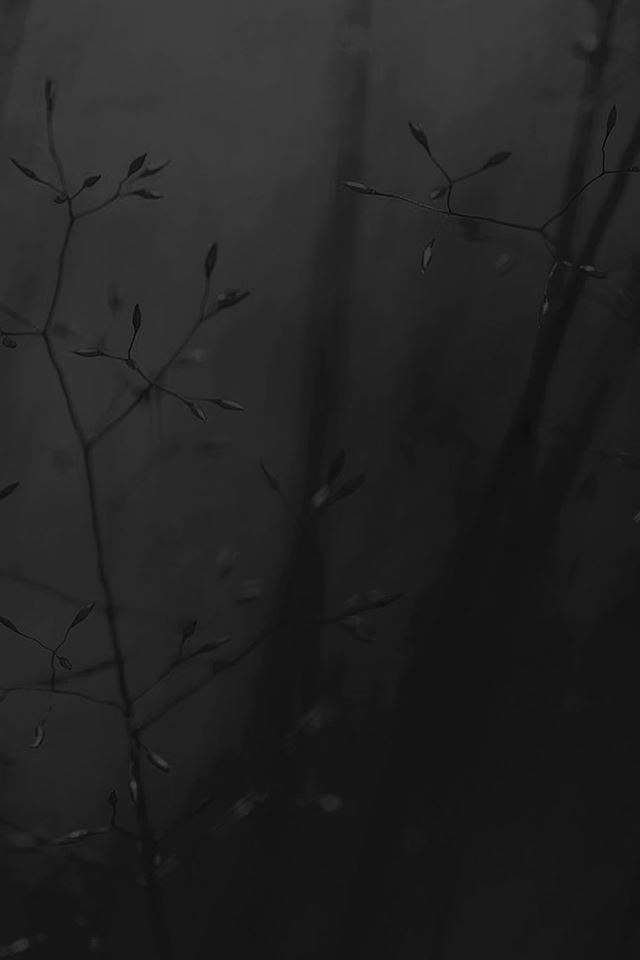 640x960 Abstract Weed Plant Dark Flower Nature - weed iPhone 4s Wallpaper
