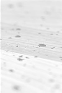 Drops Of Milk On Floor Pattern Nature White wallpaper
