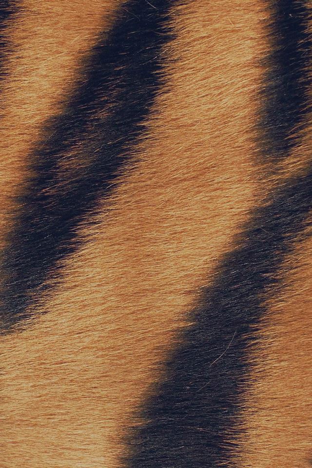 640x960 Wild Cat Texture Fur Nature Pattern - fur iPhone 4s Wallpaper