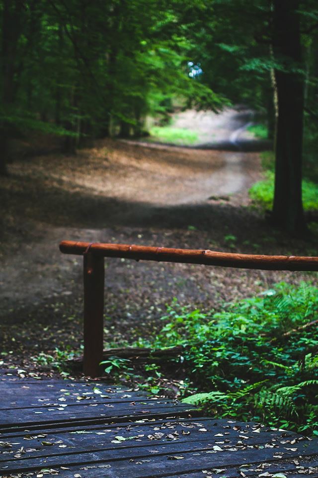 640x960 Wood Nature Forest Road Mountain Dark Summer - dark (black) iPhone 4s Wallpaper