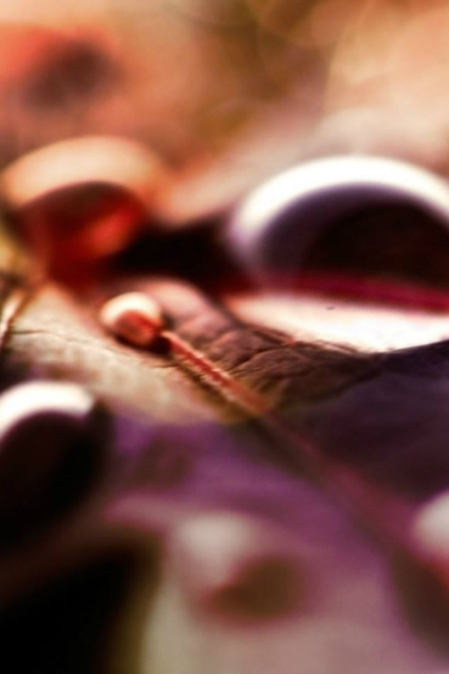 640x960 Leafy Texture Macro Dew Droplet Bokeh - bokeh iPhone 4s Wallpaper