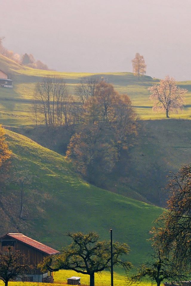 640x960 Sunny Countryside Hill Landscape - mist iPhone 4s Wallpaper