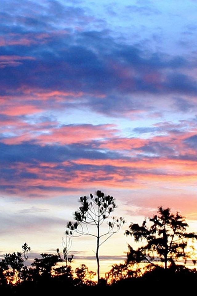 640x960 Night Sunlight Grove Sky View - clouds iPhone 4s Wallpaper