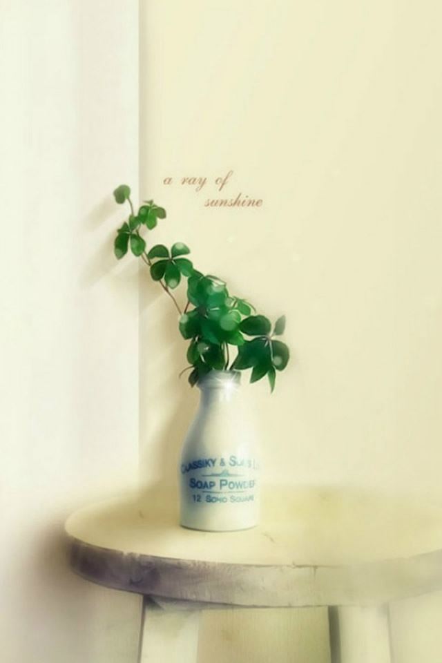 640x960 Elegant Indoor Decoration Plant Branch Vase Table - table iPhone 4s Wallpaper