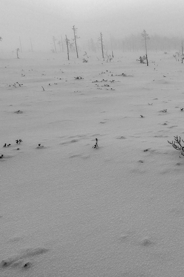 640x960 Snow Walk Winter White Footprints Nature Mountain - black iPhone 4s Wallpaper