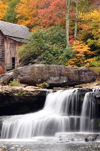 Forest Waterfall wallpaper