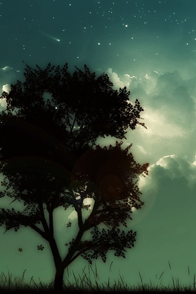 640x960 Starry Shiny Cloudy Skyscape Lonely Tree Night Hill - lonely iPhone 4s Wallpaper