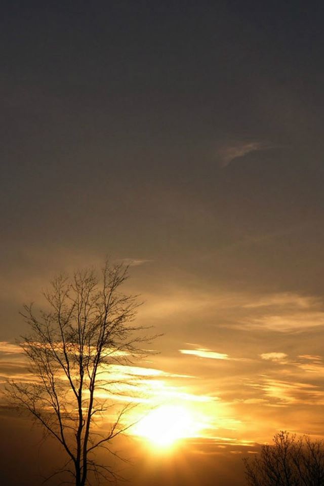 640x960 Wild Vast Twilight Light - black iPhone 4s Wallpaper