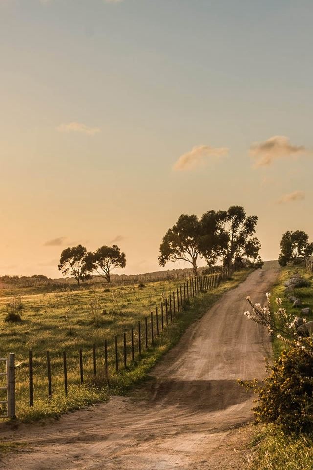 640x960 Nature Country Fence Road View - fence iPhone 4s Wallpaper