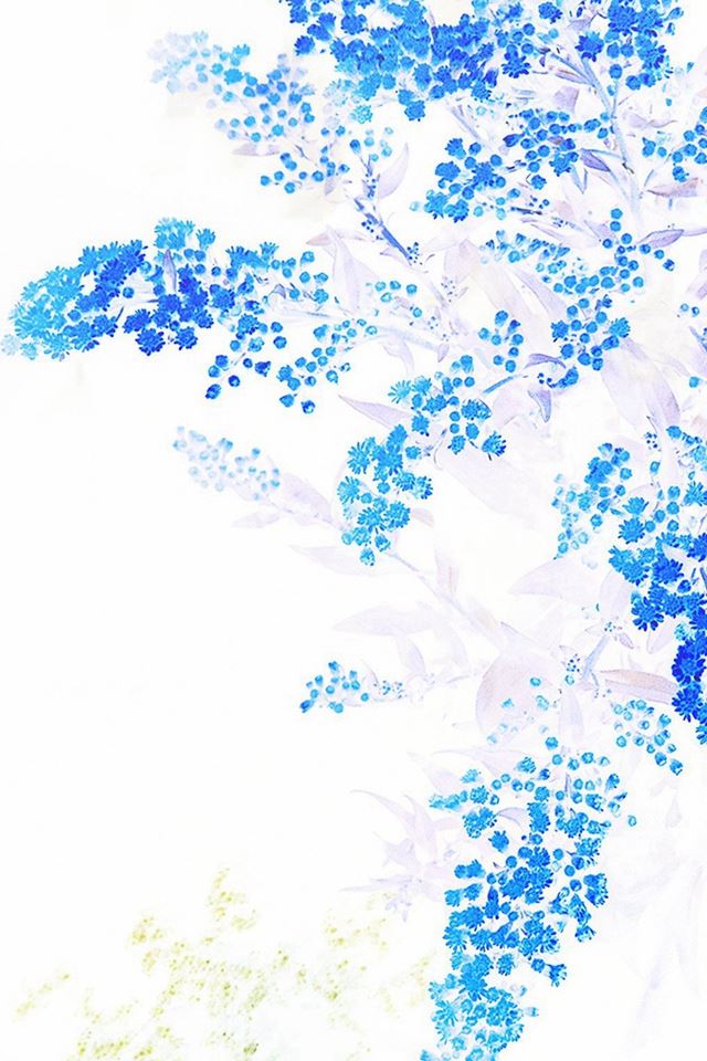 640x960 Apple Blue White Flower Ios9 - art iPhone 4s Wallpaper