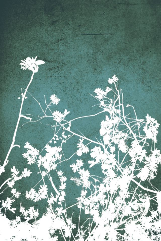 640x960 Foliage - flowers iPhone 4s Wallpaper