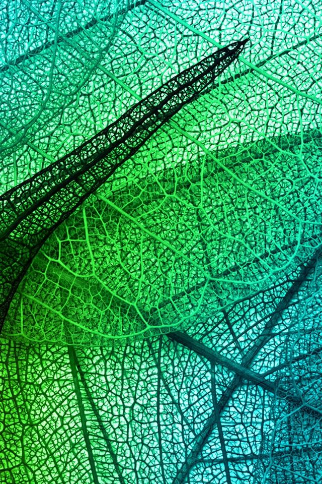 640x960 Leaves Art Green Blue Pattern - cyan iPhone 4s Wallpaper