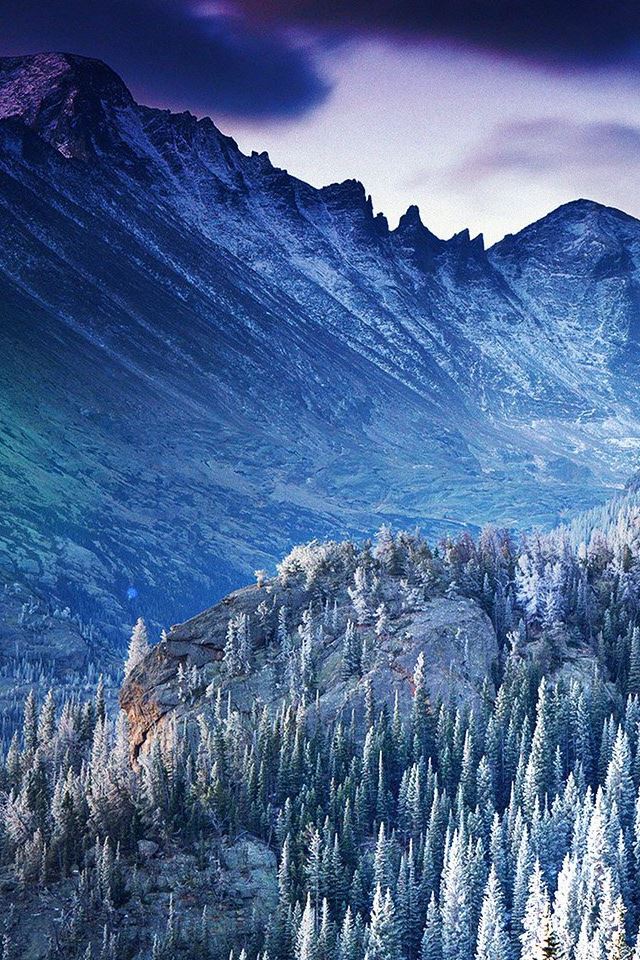 640x960 Winter Mountain Blue Woods Tree Nature Cold - tree iPhone 4s Wallpaper