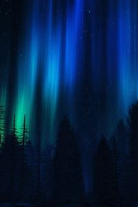 Aurora Night Sky Dark Blue Nature Art wallpaper