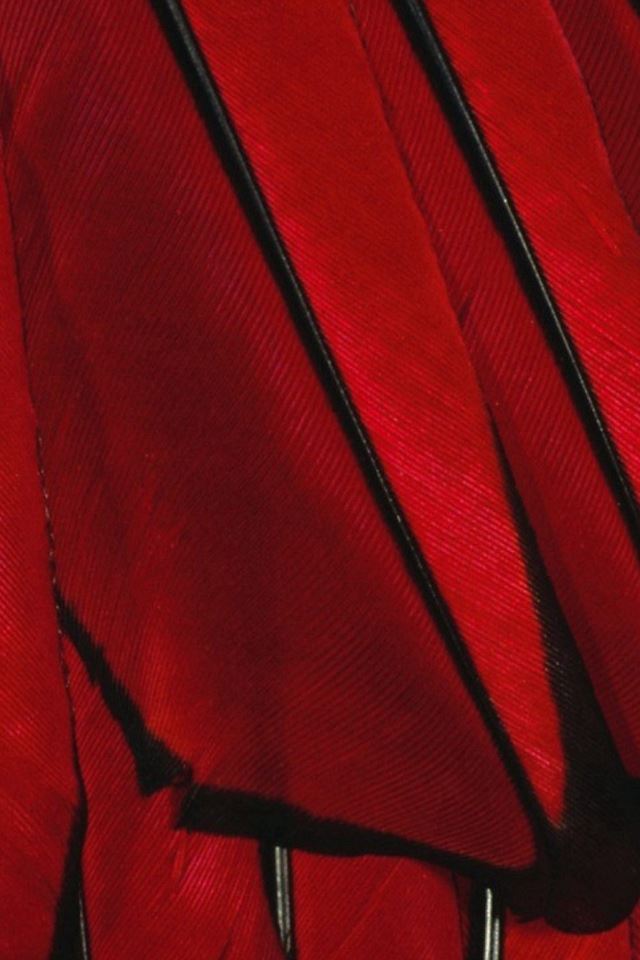 640x960 Black Red Paint Color Feather - paint iPhone 4s Wallpaper