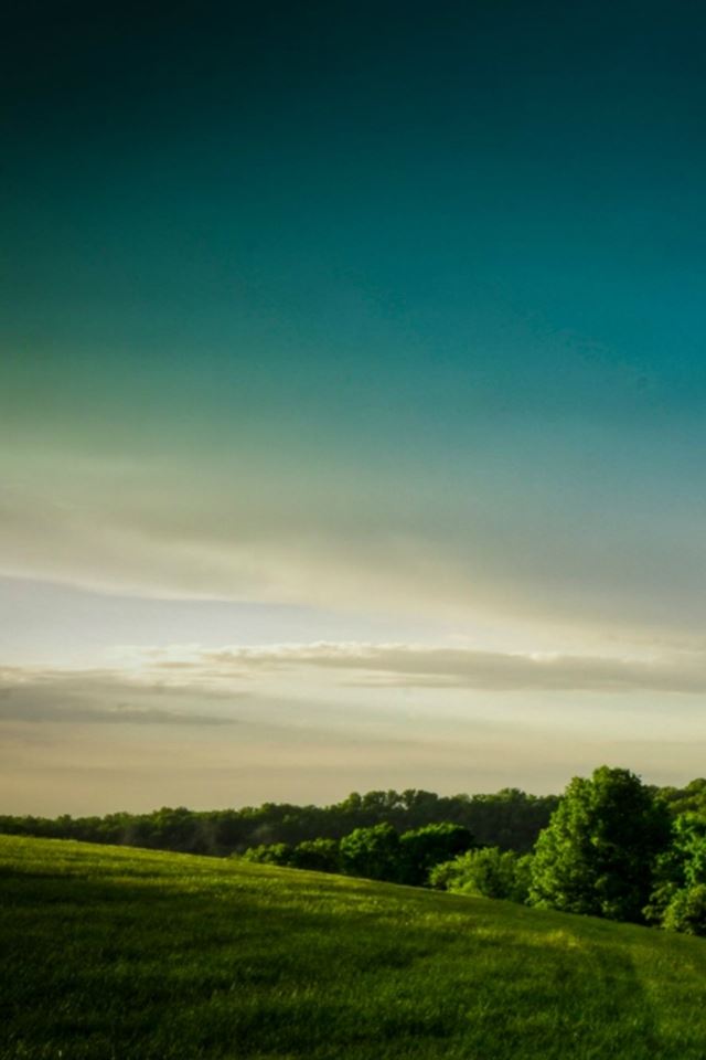640x960 Calm Broaden Wild Grass Hill Field Scenery View - calm iPhone 4s Wallpaper