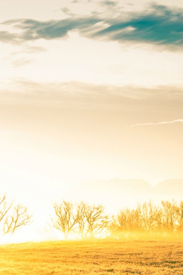 640x960 Vast Bright Golden Wither Grass Field - grass iPhone 4s Wallpaper