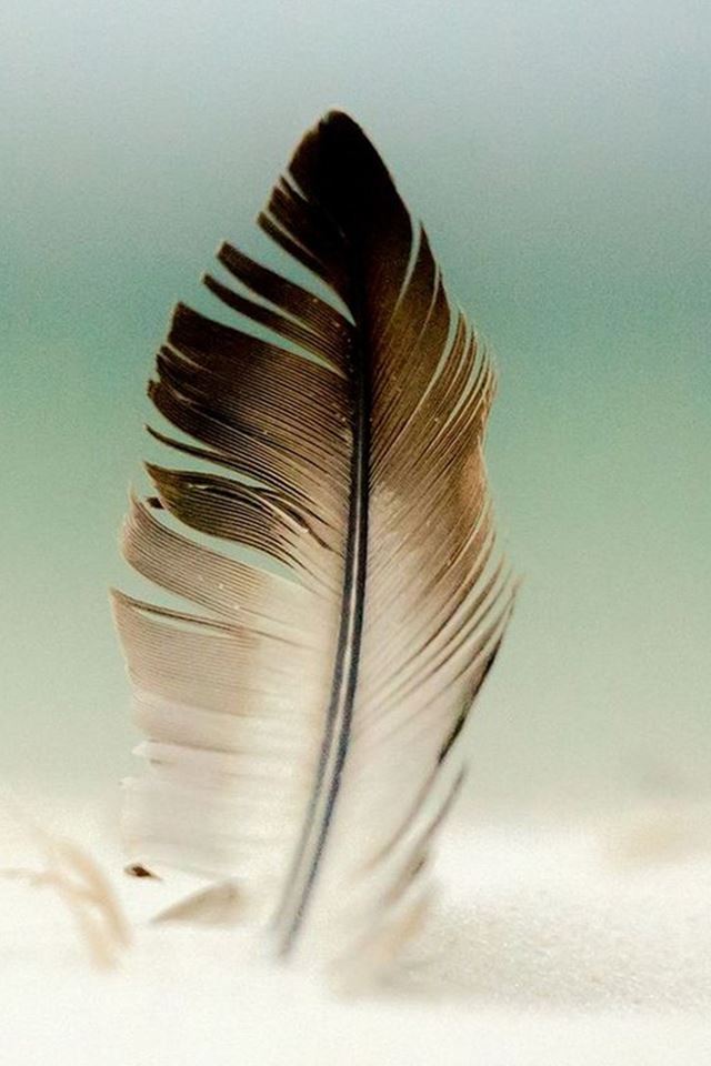 640x960 Lonely Feather Knocked In Sand - lonely iPhone 4s Wallpaper