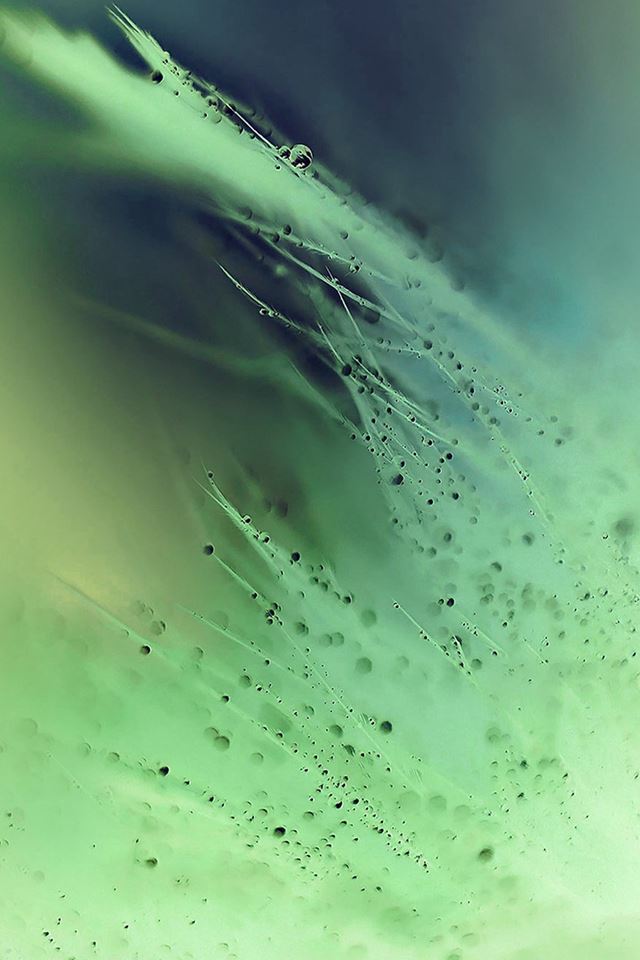 640x960 Nature Rain Drop Leaf Green Soft Pattern - leaf iPhone 4s Wallpaper