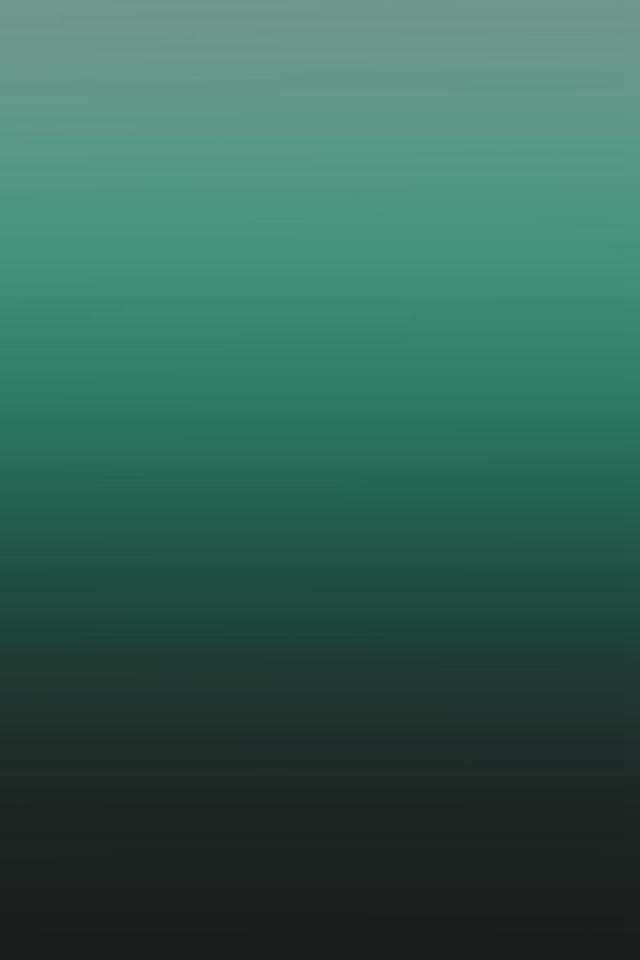 640x960 Gray Dark Green Gradation Blur - dark (black) iPhone 4s Wallpaper