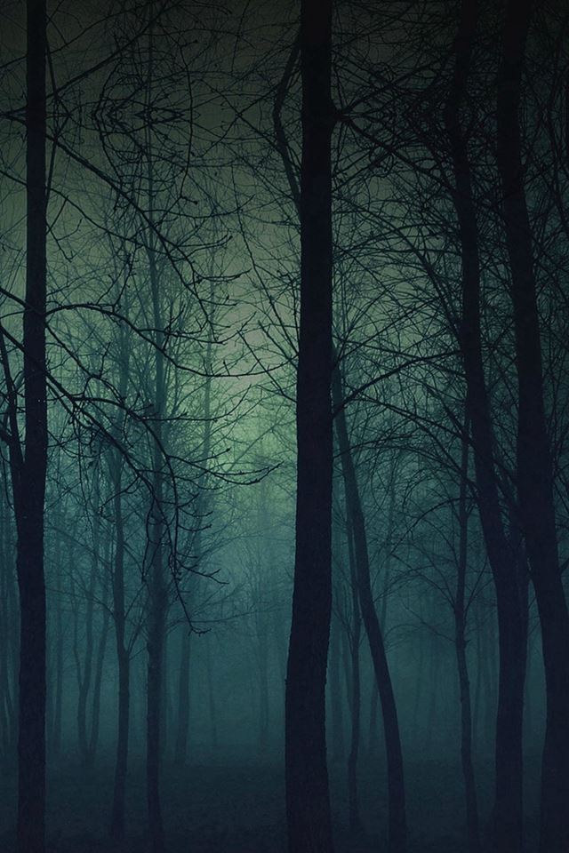 640x960 Eerie Forest Night -  iPhone 4s Wallpaper