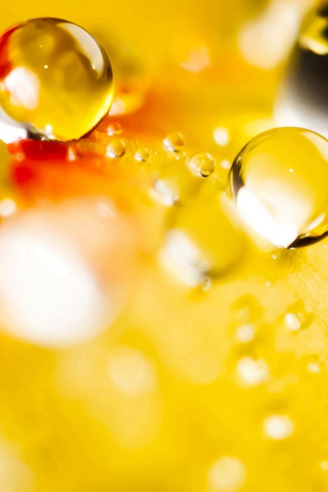 640x960 Macro Wonderful Drop - closeup iPhone 4s Wallpaper