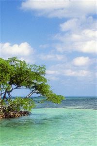 Trees Island Sailing Vessel Bank Azure Horizon wallpaper