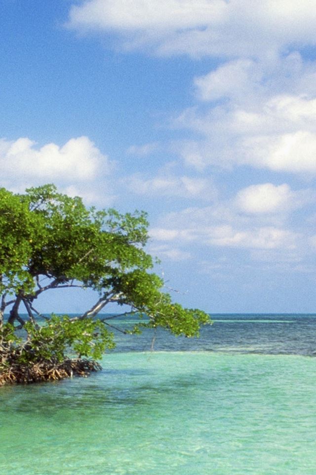 640x960 Trees Island Sailing Vessel Bank Azure Horizon - horizon iPhone 4s Wallpaper