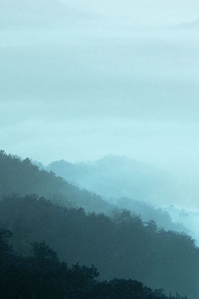 640x960 Mountain Fog Green Nature - mist iPhone 4s Wallpaper