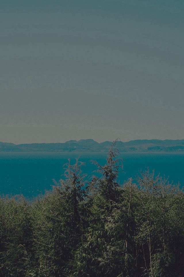 640x960 Wood Lake Blue Nature Water Dark Mountain -  iPhone 4s Wallpaper