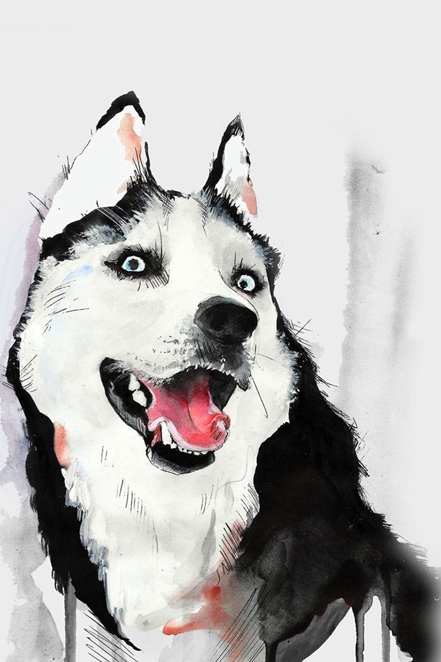 Husky Dog Watercolor Illustration iPhone 4s Wallpapers Free Download