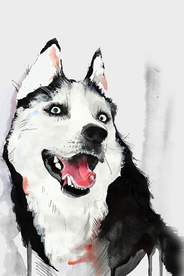 640x960 Husky Dog Watercolor Illustration - paint iPhone 4s Wallpaper