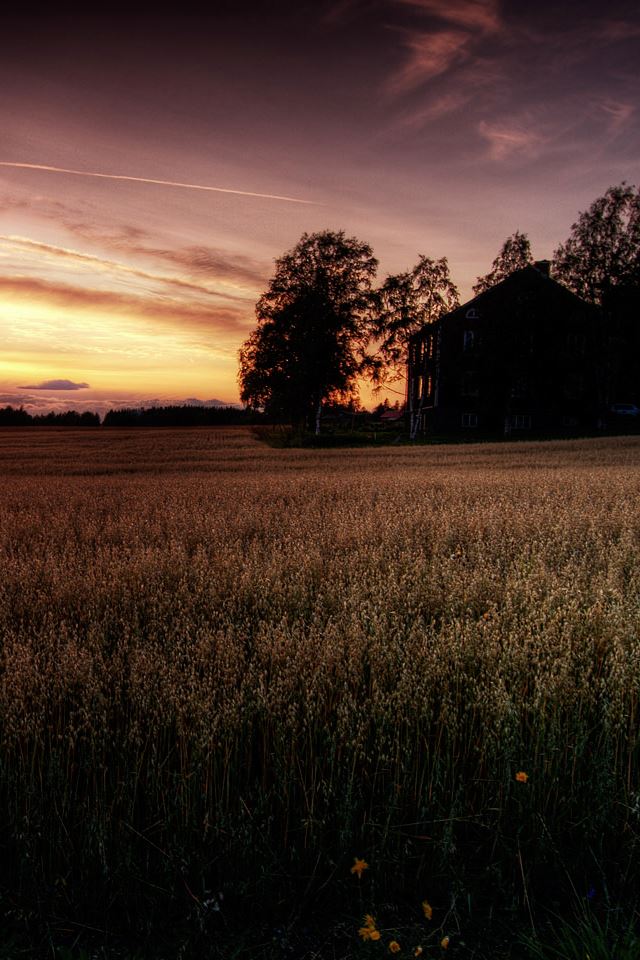 640x960 Farm -  iPhone 4s Wallpaper