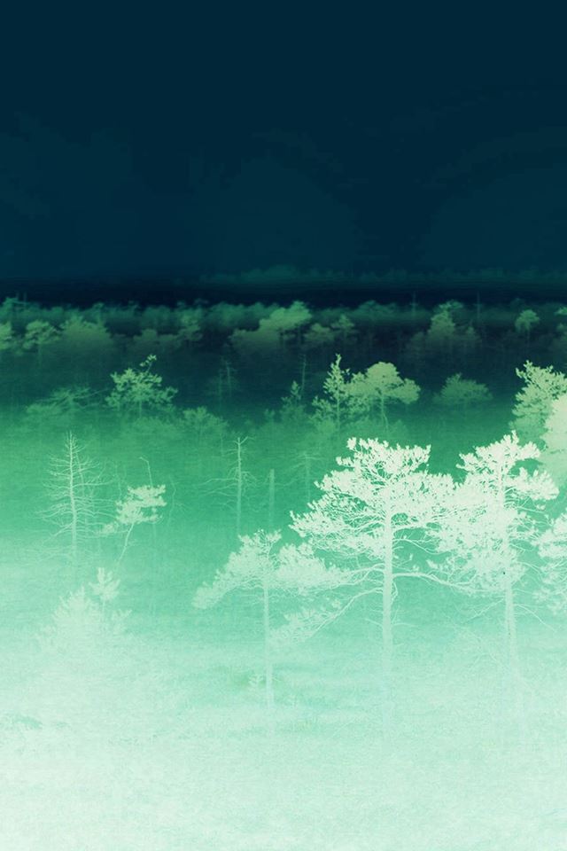 640x960 Sunset Wood Nature Ghost - nature iPhone 4s Wallpaper