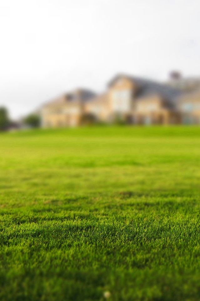 640x960 Garden Nature Green Lawn - lawn iPhone 4s Wallpaper